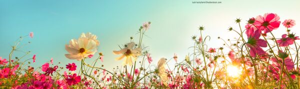 Unser Gesundheitsblog